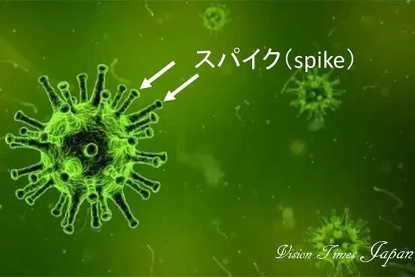 yčzuV^RiECX͒v@S̃ECXwҁE腗햲AVȌ_ŒY}̊֗^wE  [Mず]YouTube>2{ ->摜>1 